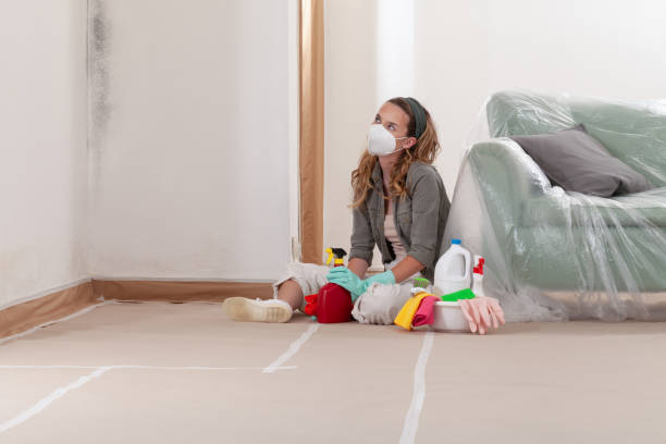 Reliable Mold Remediation contractor in Park Ridge, NJ by Cheap Mold Removal